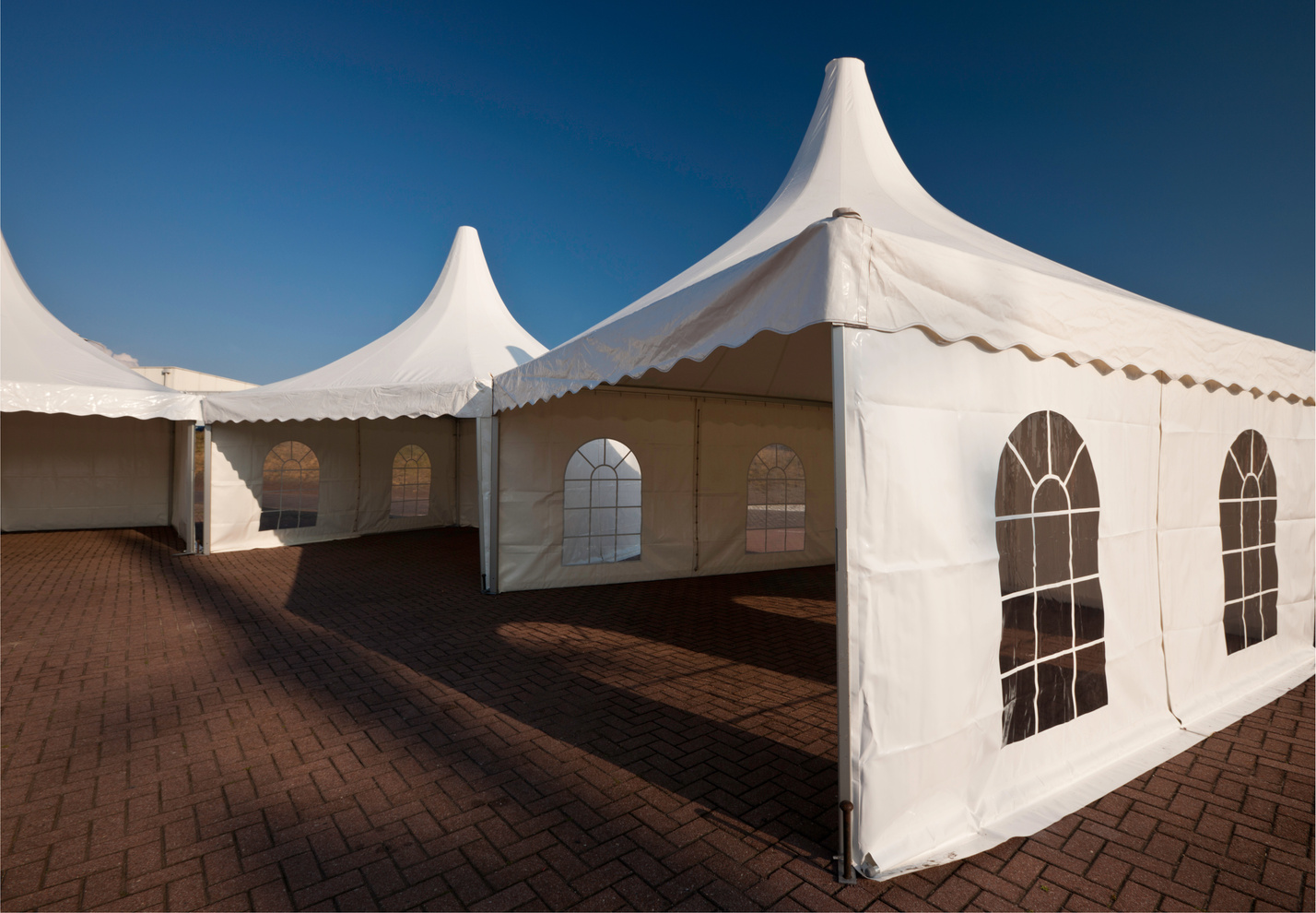 Martini Celebrate 9oz (16 Per Rack) – Party Tents & Events